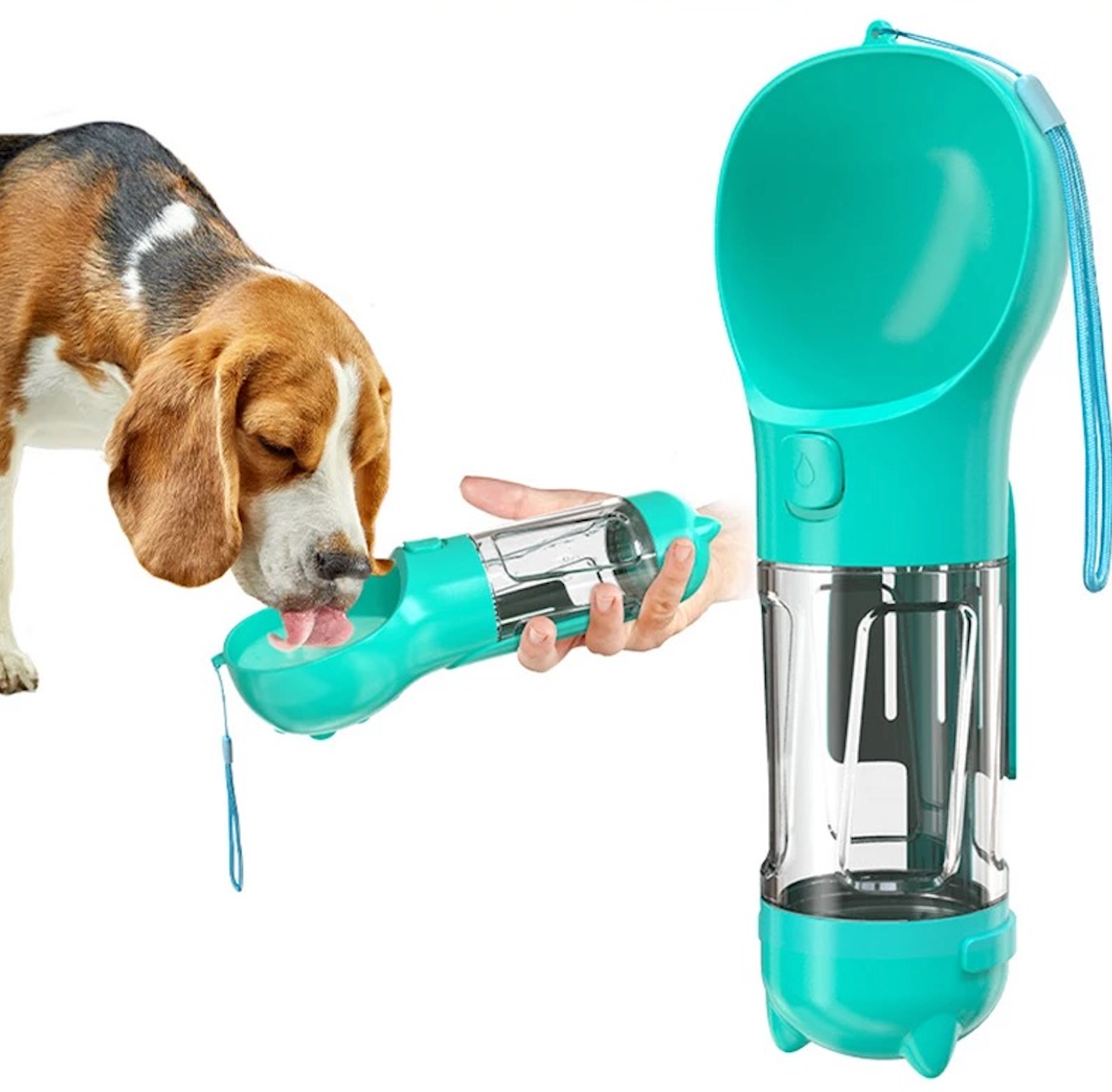 Gourde pour chien