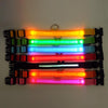 Collier Lumineux Pour Chien