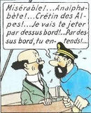 Capitaine Haddock - Crétin des Alpes