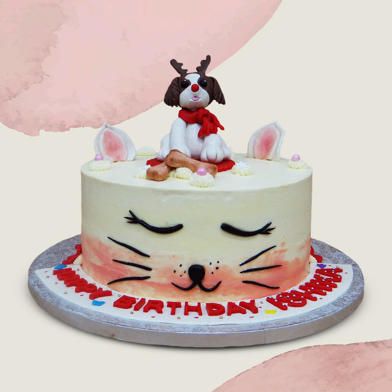 can cats eat dog cake