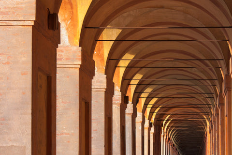 The legendary arches of Modena - Mandarano Balsamic Label