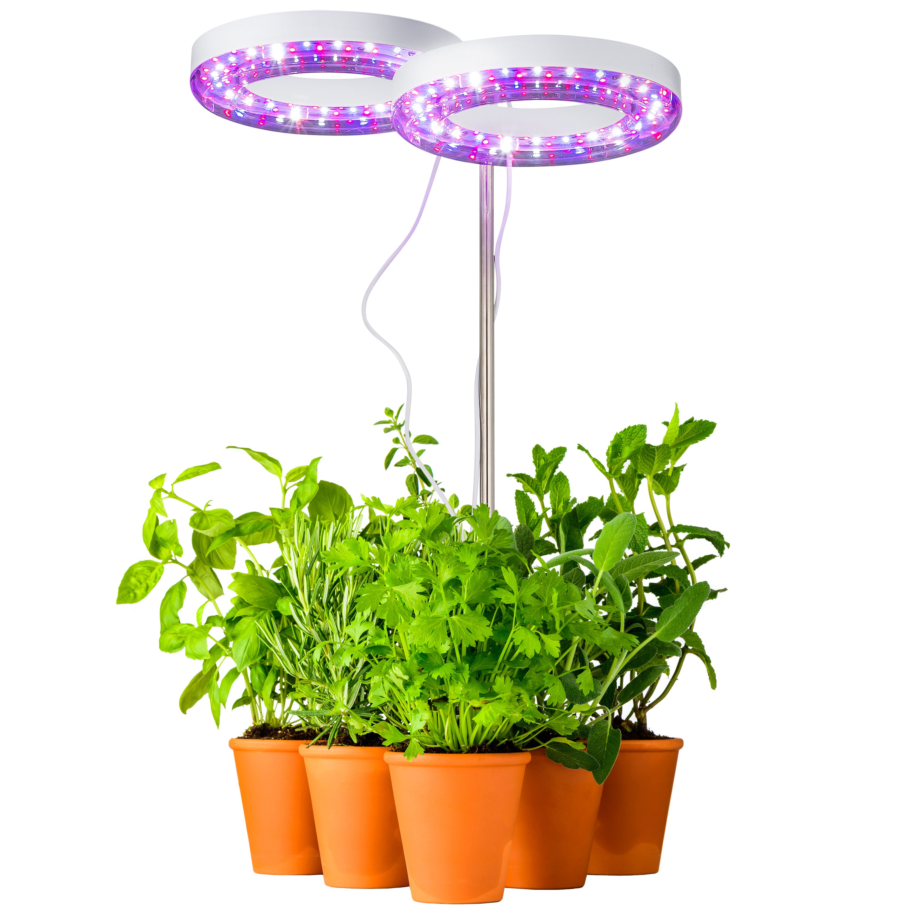 brite labs grow lights