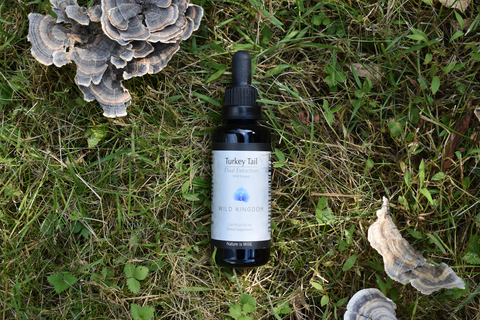 Wild Kingdom- Turkey Tail Mushroom Extract