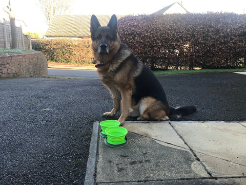 Collapsible Dog Bowls and Portable Dog Water Bottle - Combo Set