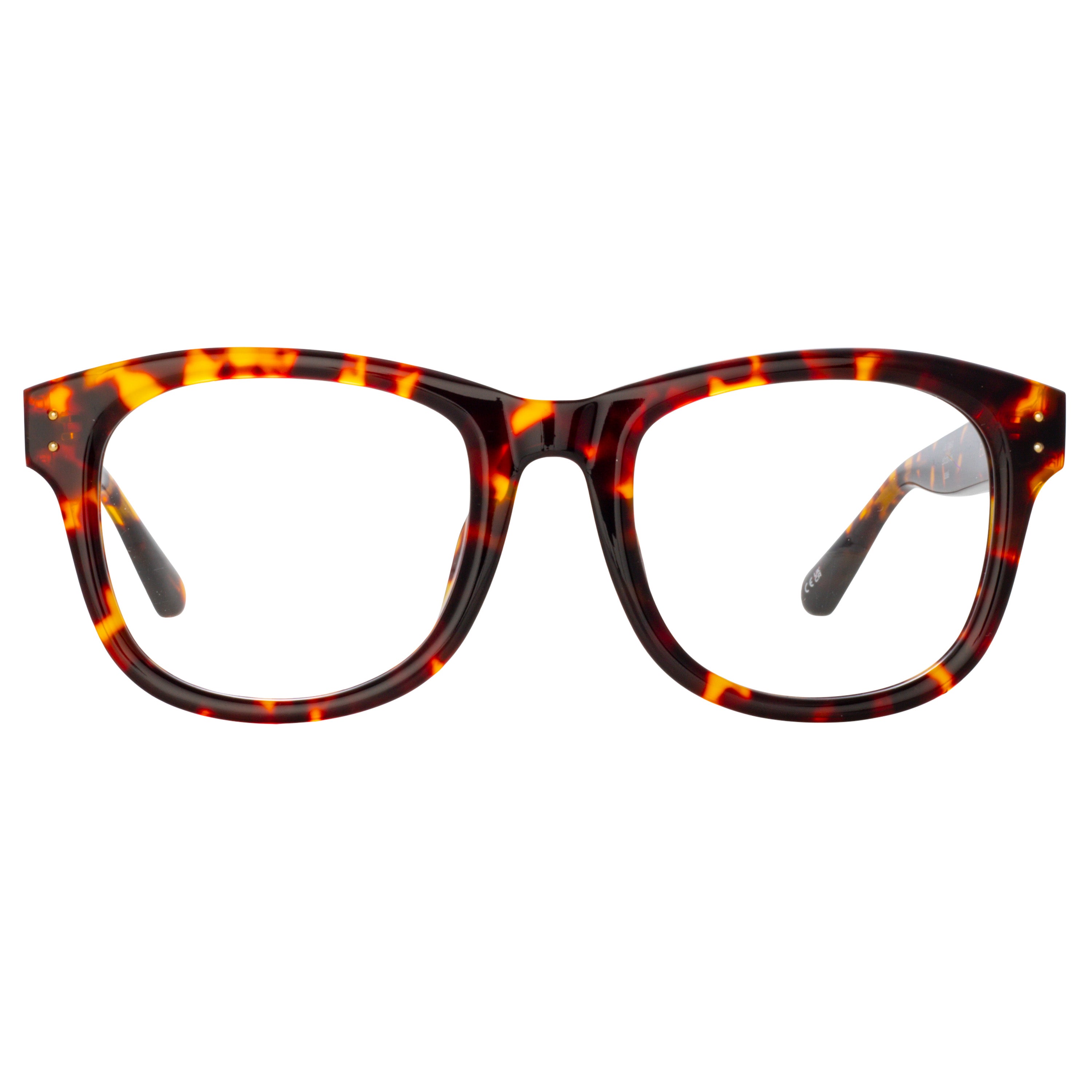 Edson Optical D-Frame in Tortoiseshell