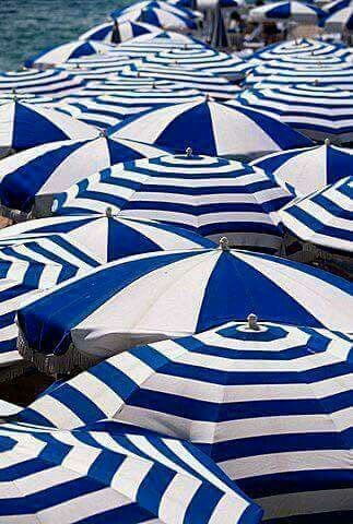 Beach umbrellas in white and classic blue