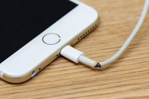 animal bite cable protector