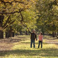 Winston and Kristen Millican in the pecan orchard