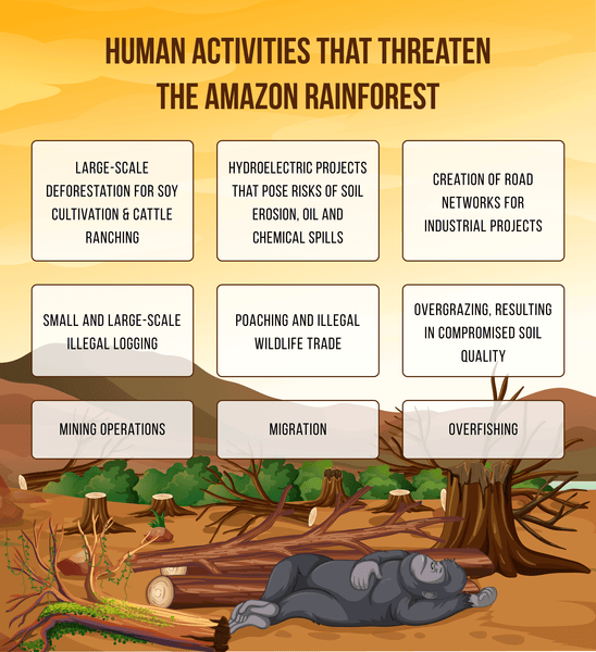 Infographic: Human Activities that Threaten the Amazon Rainforest