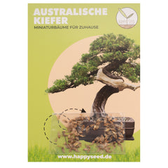 HappySeed Australische Kiefer Samen