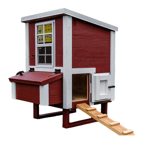 Picture of a small red coop with white trim made for 1-5 chickens