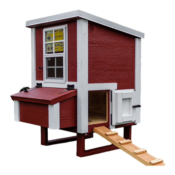Small traditional chicken coop by OverEZ