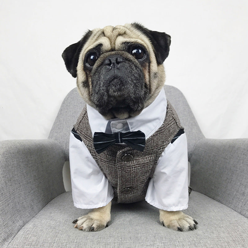 pug dog clothes