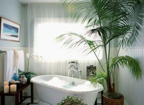 tranquil bathroom with freestanding bathtub and palm tree... Bathroom Style Trends: Bathroom Plant Ideas from Bathroom Bliss by Rotator Rod