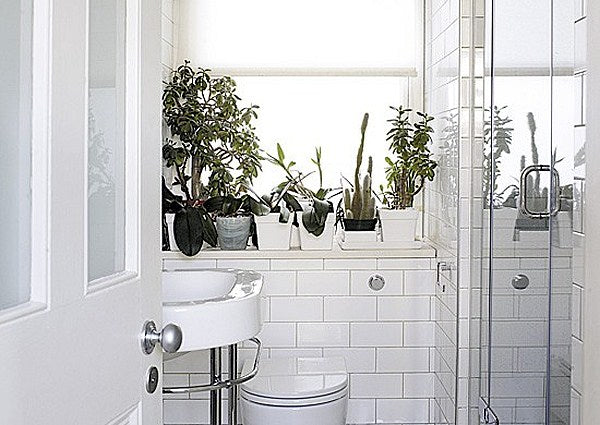 white bathroom windowsill featuring a potted cacti and bonsai trees... Bathroom Style Trends: Bathroom Plant Ideas from Bathroom Bliss by Rotator Rod