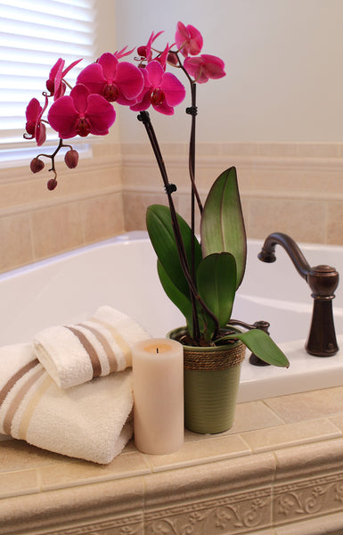 bath tub edge featuring beautiful pink orchids... Bathroom Style Trends: Bathroom Plant Ideas from Bathroom Bliss by Rotator Rod
