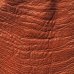 Ostrich leather example