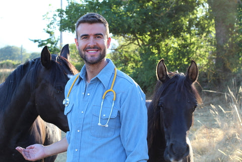 Equine Podiatrist