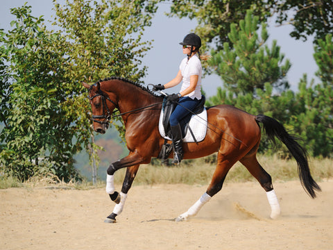 dressage saddle pads