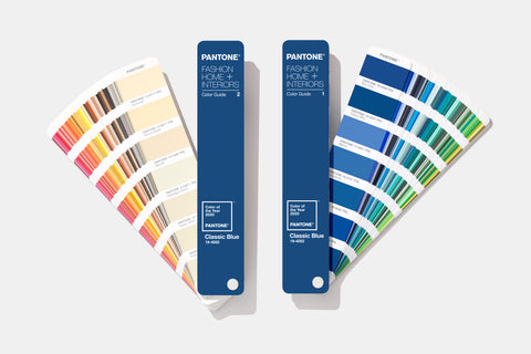 PANTONE FHI Color Guide - Color of the Year 2020 Limited Edition