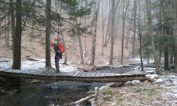 The Hook Natural Area Bald Eagle State Forest PA