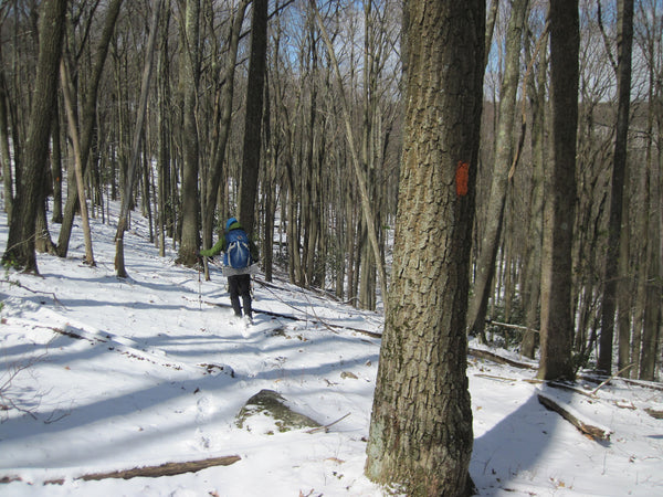 Quehanna Trail West Cross Connector Loop Moshannon State Forest PA