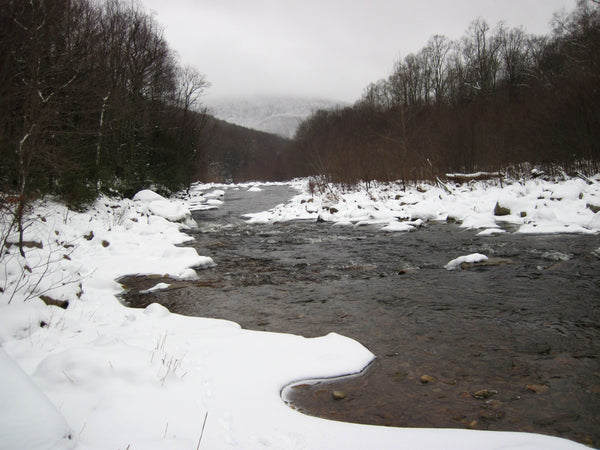 Dolly Sods Wilderness West Virginia