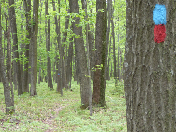 Trail Markers Rothrock