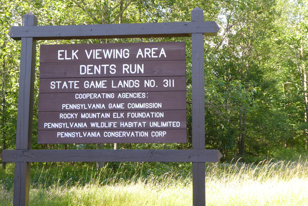 Dents Run Elk Viewing Area, Bennezette, Pennsylvania