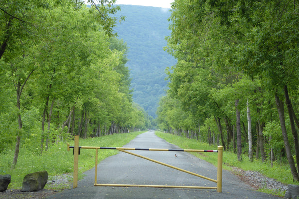 Pine Creek Rail Trail