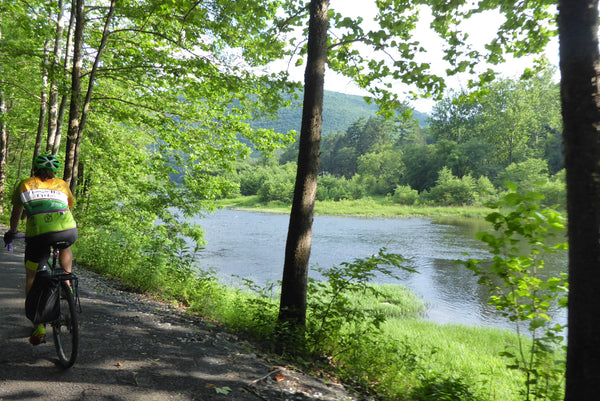 Pine Creek Rail Trail View