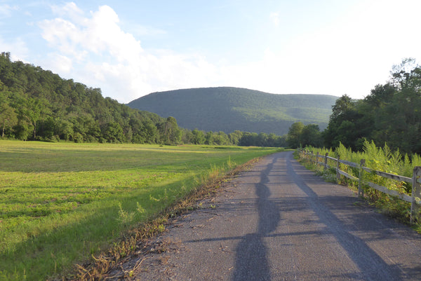 Pine Creek Rail Trail