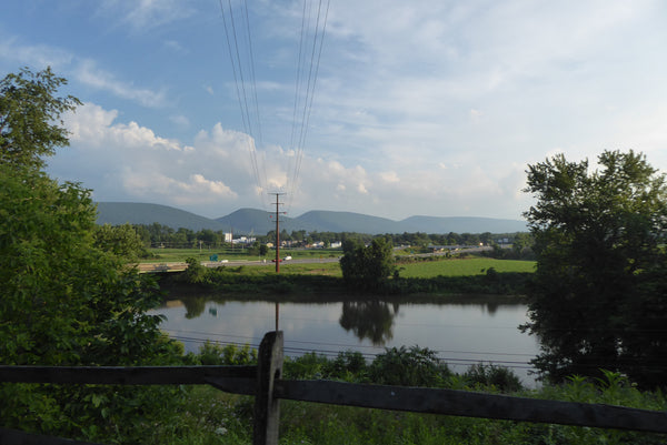 Pine Creek Rail Trail View