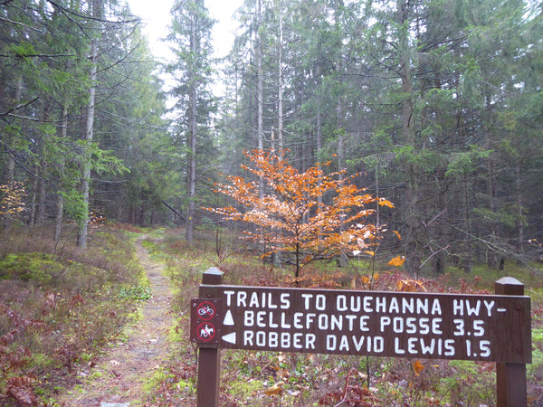 Bellefonte Posse Trail, Robber David Lewis Trail, Reactor Road, Quehanna Wild Area