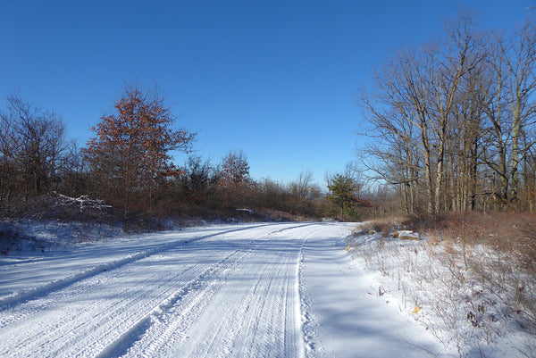 Moshannon State Forest PA