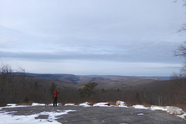 The Hook Natural Area Bald Eagle State Forest PA