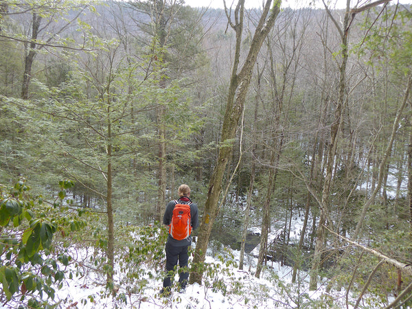 The Hook Natural Area Bald Eagle State Forest PA