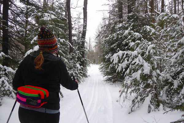 Moshannon State Forest PA