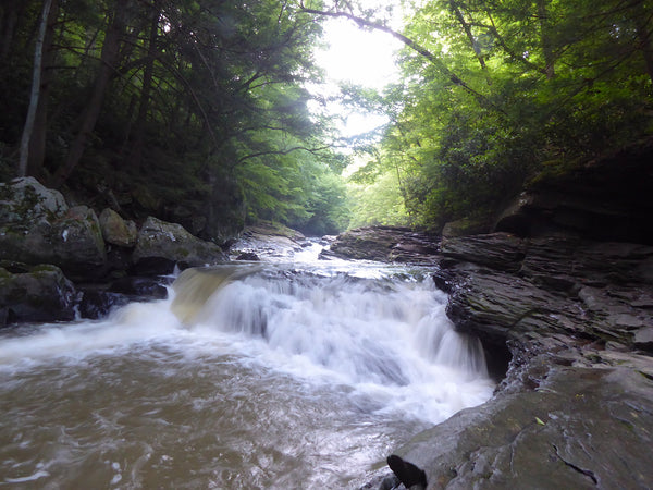 Natural Slides Ohiopyle State Park PA