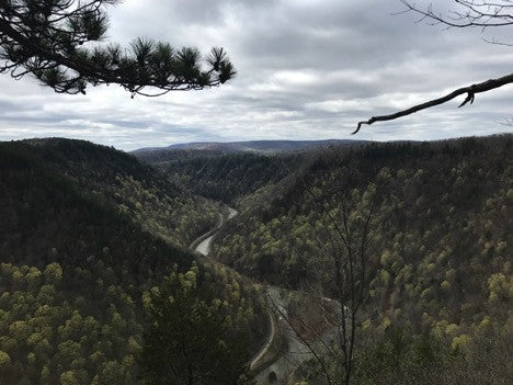 Pine Creek: Grand Canyon of Pennsylvania Spring Canyon View