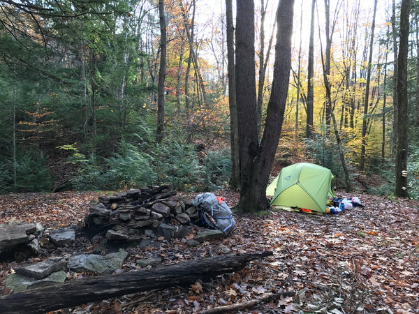 Dillon Hollow, West Rim Trail