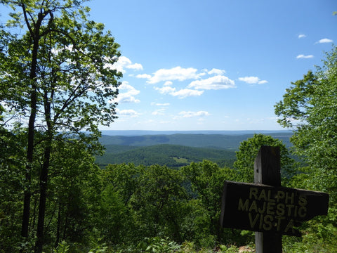 Ralph's Majestic Vista: Allegheny Front Trail