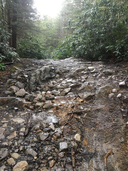 monongahela national forest dolly sods blackwater falls davis thomas wv overland