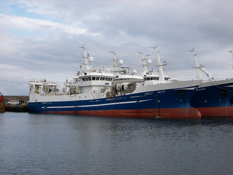 Mid-water trawling WASSP Install 10