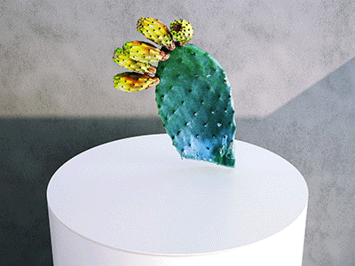 Cactus: Ficodindia Clipping (with fruit) 01