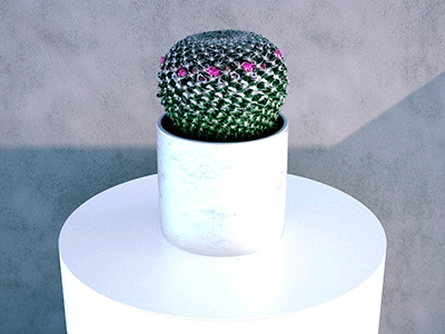 Simulat 3d Scanned Model: Mammilleria Cactus