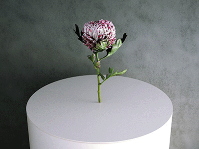 Simulat 3d Scanned Model: Chrysanthemum Flower 2