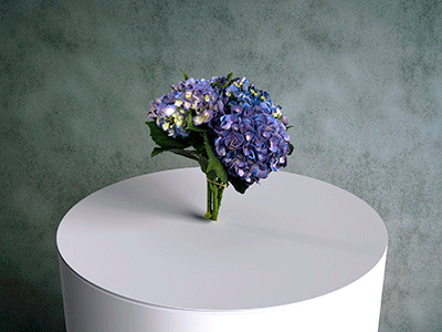 Simulat 3d Model Assets: Hydrangea Flower Bunch 