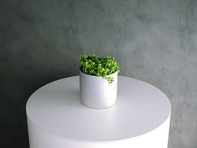 3d Model: Sedum Lineare (needle stonecrop) succulent plant