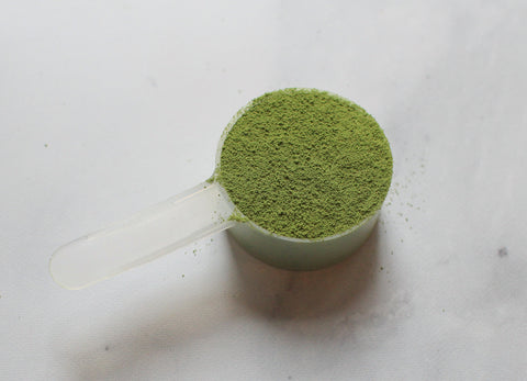 gut power matcha powder